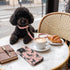 Personalized French Poodles iPhone Case