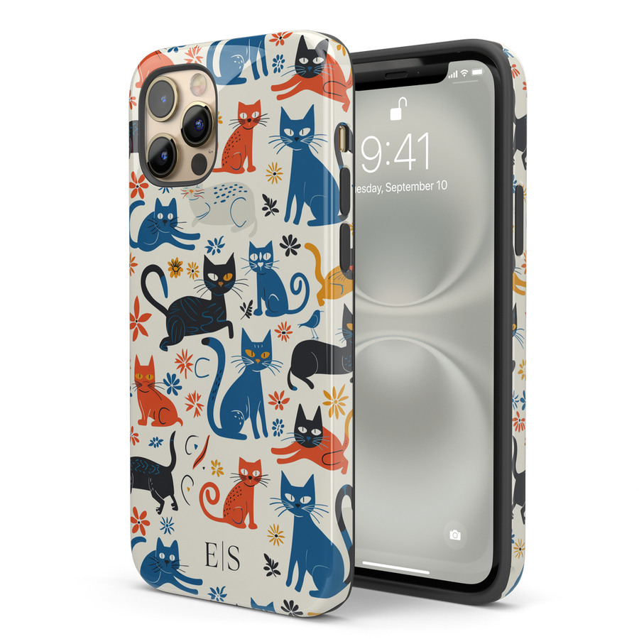Glossy finish case