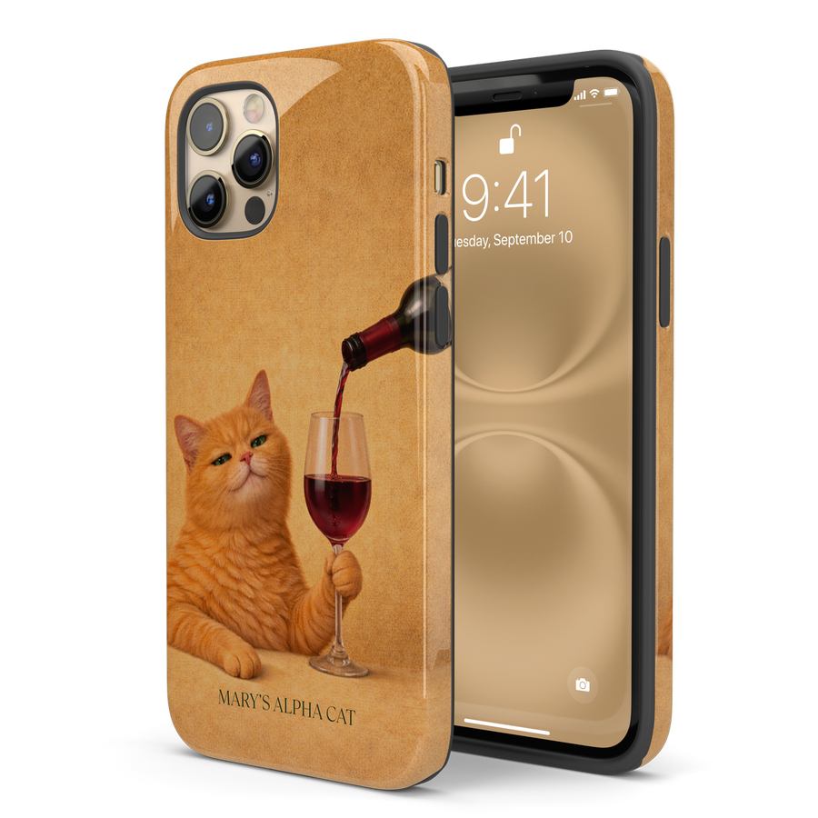 Glossy finish case