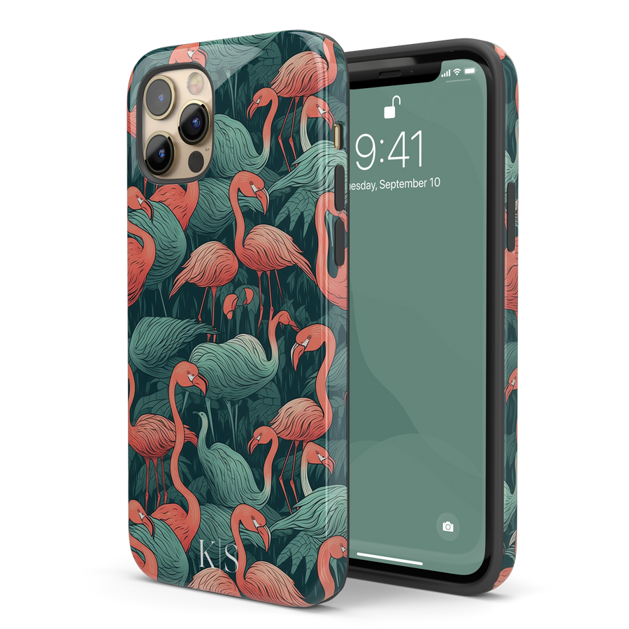 Glossy finish case