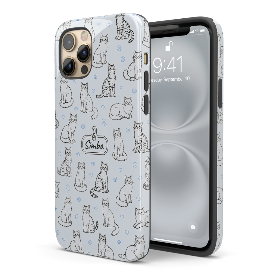 Glossy finish case