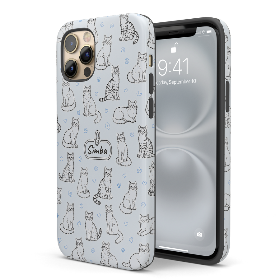 Matte finish case