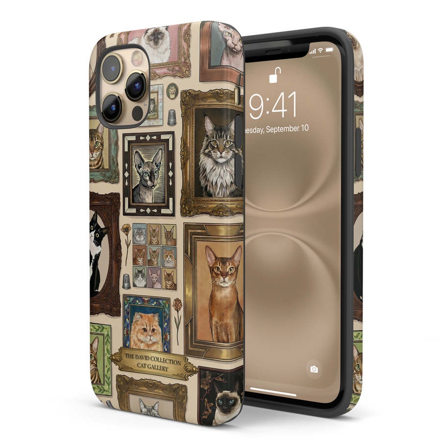 Matte finish case