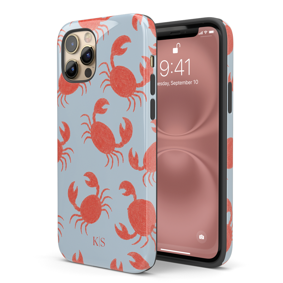 Glossy finish case