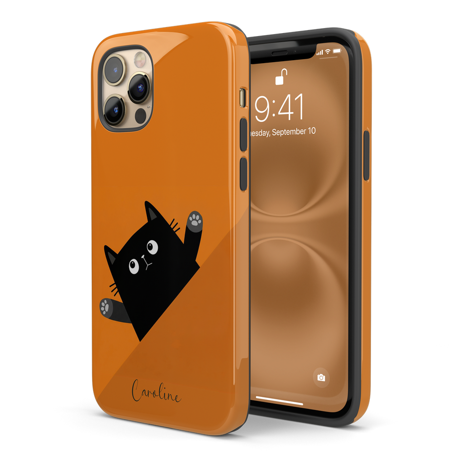 Glossy finish case