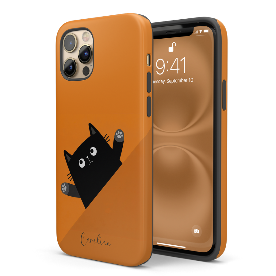 Matte finish case