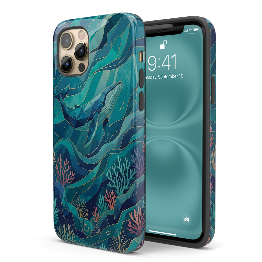 Glossy finish case
